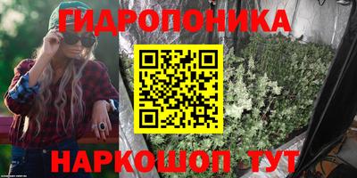 PSILOCYBIN Тверь