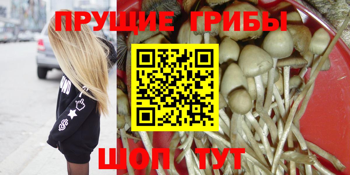 Галлюциногенные грибы Cubensis Орехово-Зуево